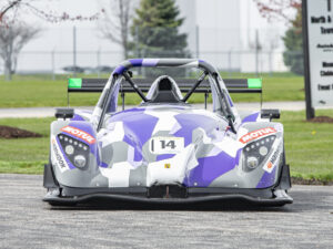 Radical Sr3